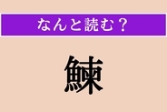 【難読漢字】「鰊」正しい読み方は？ どの魚だろう…？