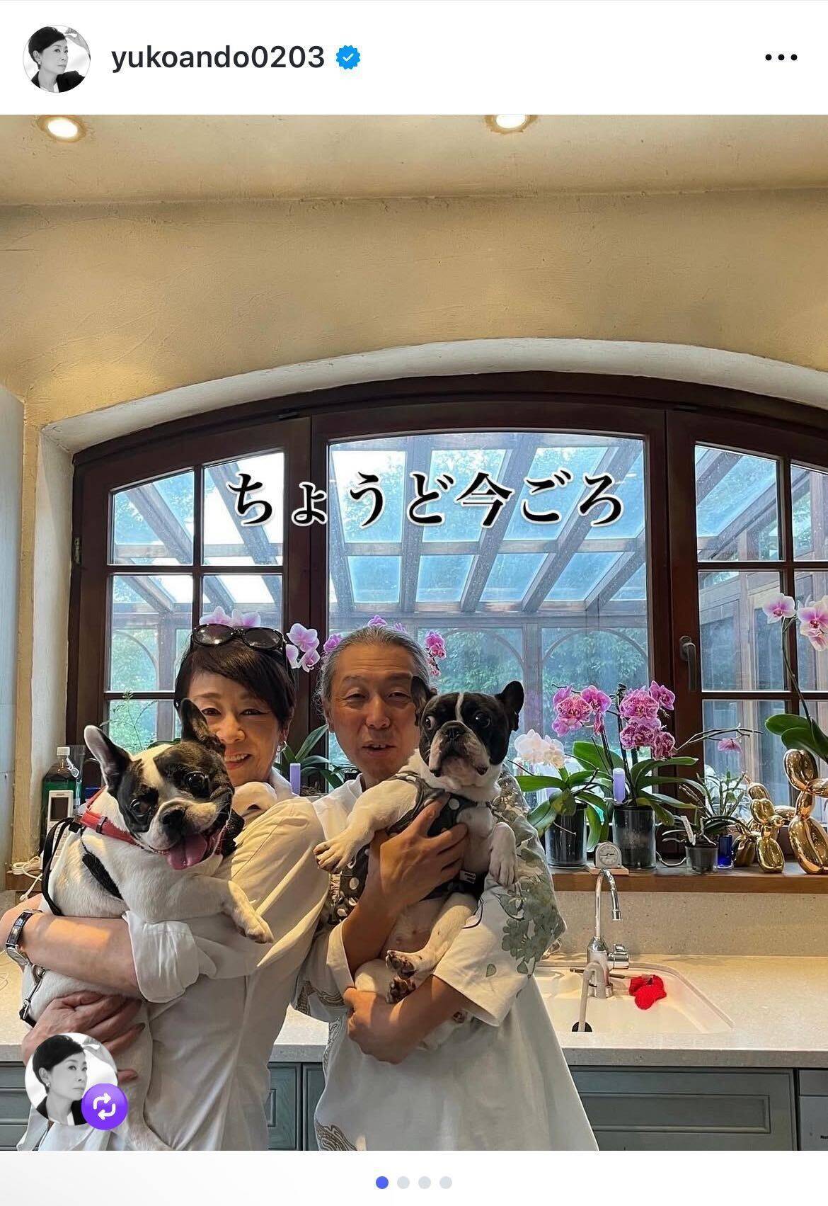 安藤優子、亡き愛犬リンの姉妹との再会を回想「ハロウィンの楽しい思い出です」