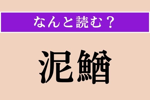 【難読漢字】「泥鰌」正しい読み方は？ 髭がある生き物で「鰌」一文字でも同じ読み方をします