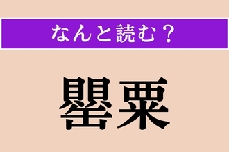【難読漢字】「罌粟」正しい読み方は？ 栽培禁止の植物で、「芥子」とも書きます