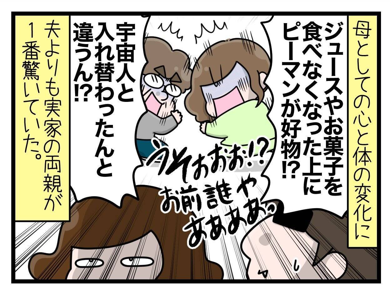 【漫画】つわり中に添加物や栄養バランスも気にするようになった【一緒のお墓に入ろっか！ Vol.12】