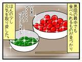 「【漫画】つわり中に添加物や栄養バランスも気にするようになった【一緒のお墓に入ろっか！ Vol.12】」の画像1