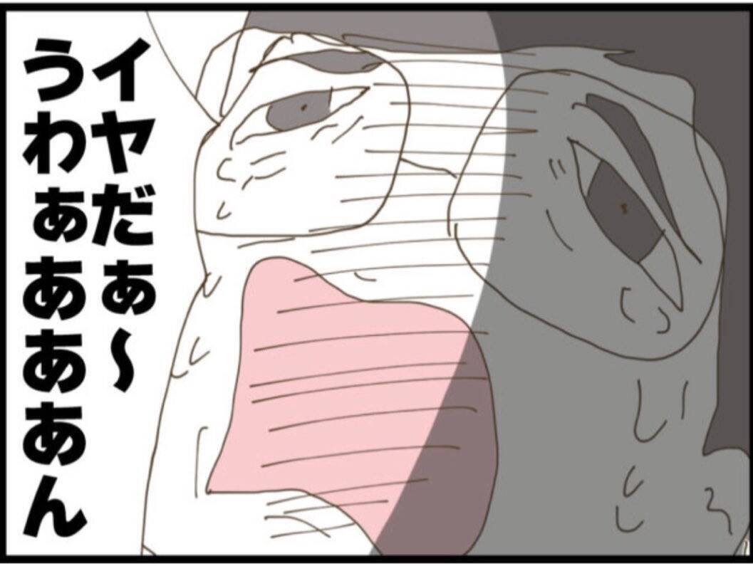【漫画】義父、駄々っ子のように「離婚ヤダー！」と泣き叫ぶ【マジメだと思ってた義父は… Vol.86】
