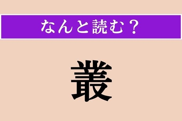 【難読漢字】「叢」正しい読み方は？ 「そう」以外のひらがな4文字の読み方は？