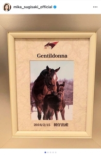 杉崎美香、名馬ジェンティルドンナの死を悼む 「私の競馬人生の原点」と感謝の思いを投稿