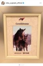 杉崎美香、名馬ジェンティルドンナの死を悼む 「私の競馬人生の原点」と感謝の思いを投稿