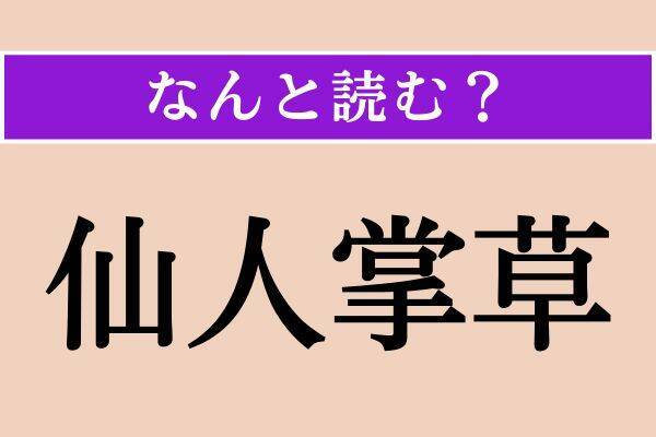 【難読漢字】「越南」「寡聞」「仙人掌草」読める？