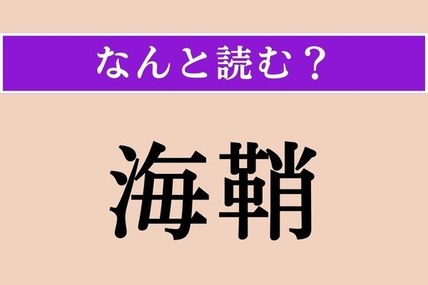 【難読漢字】「海鞘」正しい読み方は？ 海の中にいる生物です