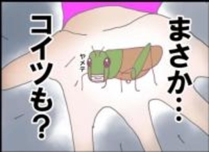 【漫画】もしかして俺、バッタを食べさせられるの？ 夫が感じた恐怖【怖すぎる隣人 Vol.17】