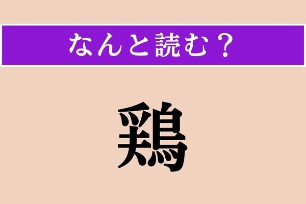 【難読漢字】「鶏」正しい読み方は？ あの鳥でしょ？ 簡単すぎない？