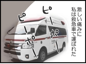 【漫画】夫、切迫流産で入院した私に「甥はどうするんだ！」【マウント義姉にやり返した話 Vol.30】