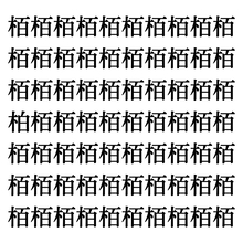 【漢字探しクイズ Vol.185】ずらっと並んだ「栢」の中にまぎれた別の漢字一文字は？