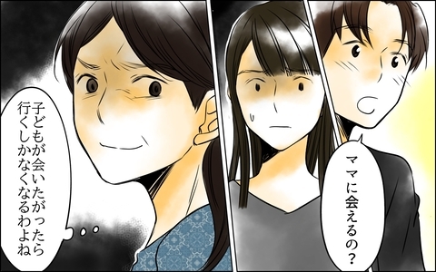子どもが会いたいって言ってるの！ 長男嫁の判断は求めていない！の画像