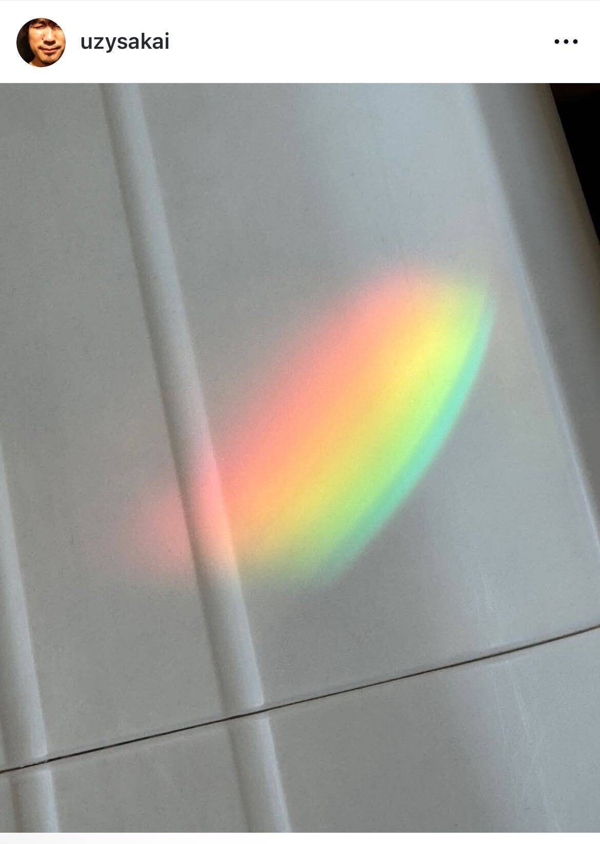 ゴスペラーズ酒井雄二、愛猫きなこの死去を報告「やさしい日々をありがとう」