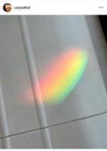 ゴスペラーズ酒井雄二、愛猫きなこの死去を報告「やさしい日々をありがとう」