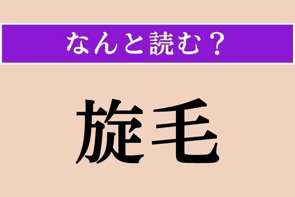 【難読漢字】「旋毛」正しい読み方は？ 誰にもある、体の一部です