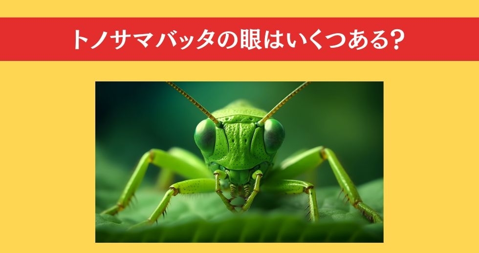 大人ならわかる？ 小学校の「理科」問題＜Vol.24＞