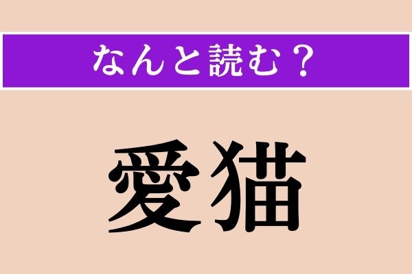 【難読漢字】「愛猫」正しい読み方は？ 簡単すぎた!? 漢字検定2級の問題です