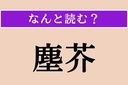【難読漢字】「塵芥」正しい読み方は？ ちりやゴミのことを言い、「ちりあくた」とも読みますの画像