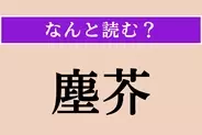 【難読漢字】「塵芥」正しい読み方は？ ちりやゴミのことを言い、「ちりあくた」とも読みます