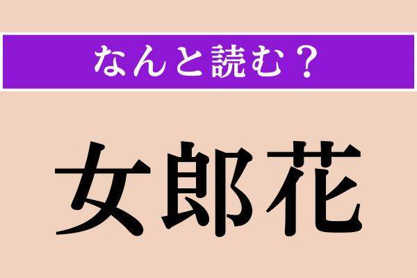 【難読漢字】「十重二十重」正しい読み方は？ 幾重にも取り囲む様子を言います