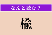 【難読漢字】「楡」正しい読み方は？ 「○○の木」は北海道大学の象徴です