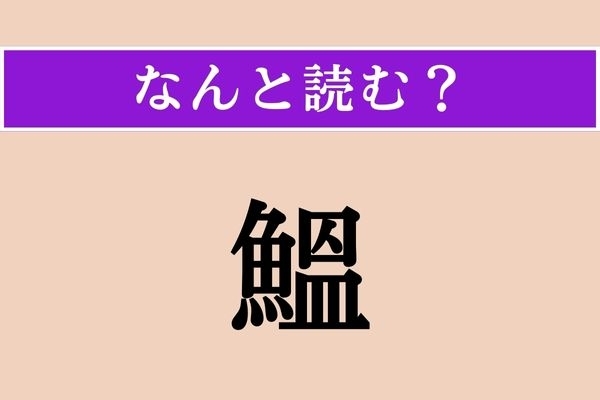 【難読漢字】「鰮」正しい読み方は？ どの魚だろう…