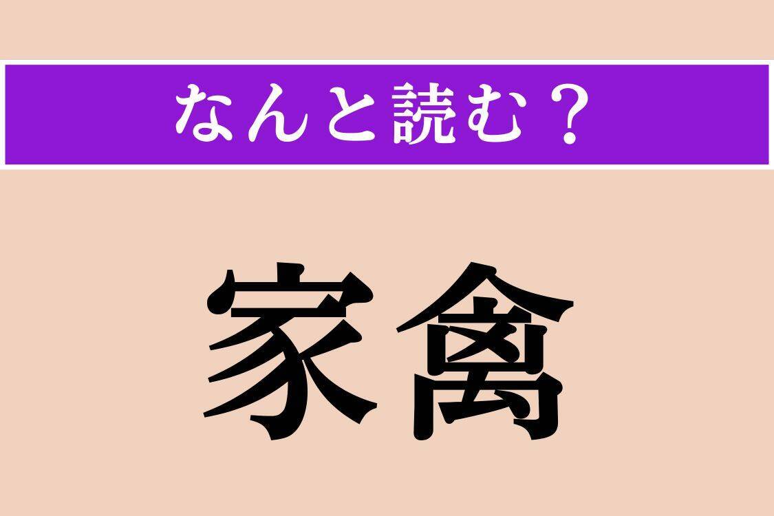 【難読漢字】「家禽」正しい読み方は？ 家で飼う鳥のことをこう言います