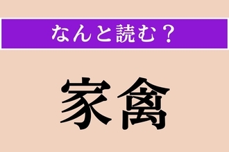 【難読漢字】「家禽」正しい読み方は？ 家で飼う鳥のことをこう言います