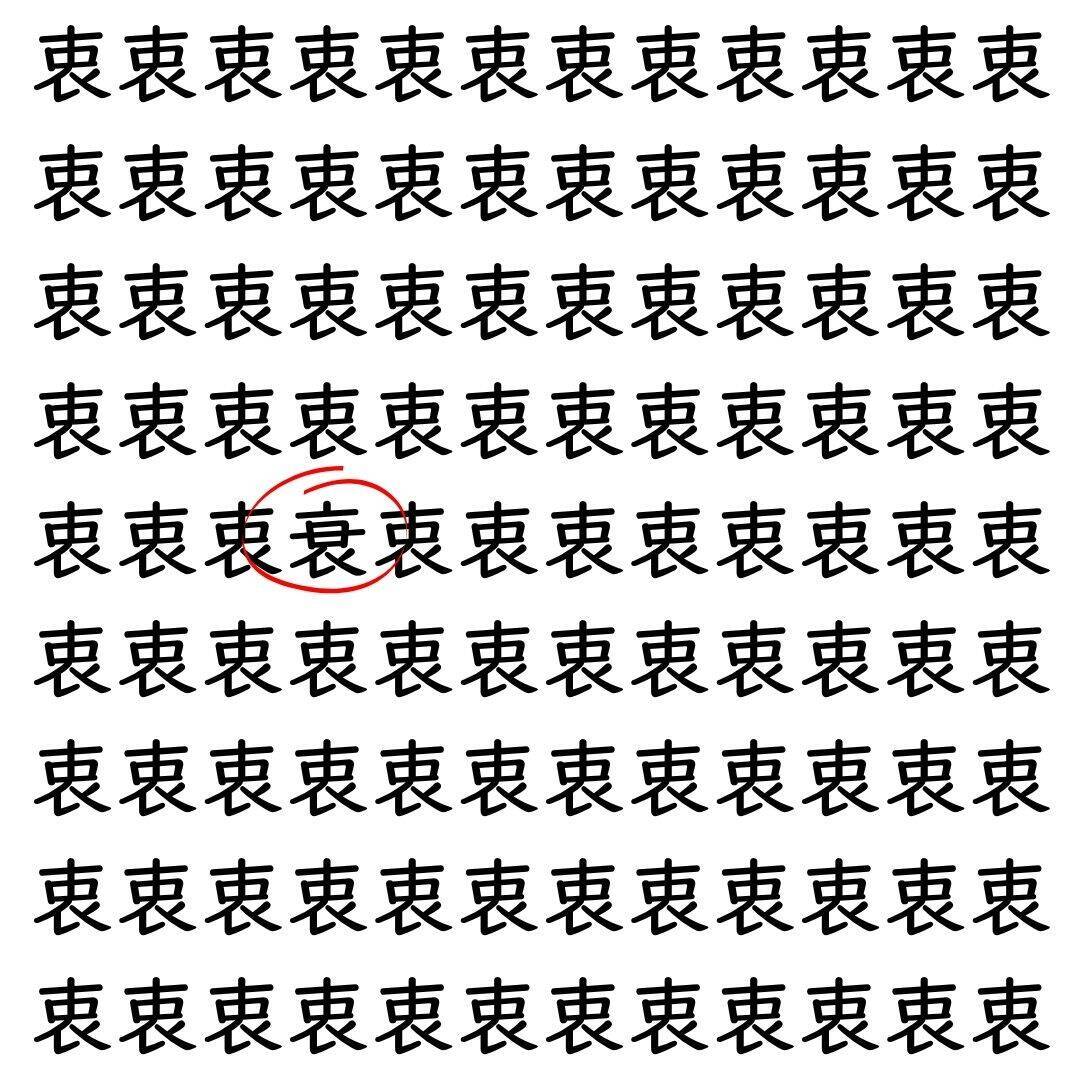 【漢字探し】ずらっと並んだ「衷」の中にまぎれた別の漢字一文字は？