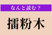 【難読漢字】「擂粉木」正しい読み方は？ 鉢とセットで使います