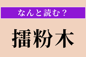 【難読漢字】「擂粉木」正しい読み方は？ 鉢とセットで使います