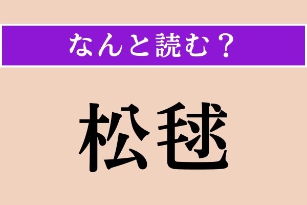 【難読漢字】「松毬」正しい読み方は？ クリスマスツリーに関係があります