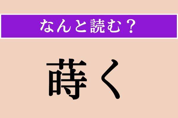 【難読漢字】「蒔く」正しい読み方は？ サービス問題！