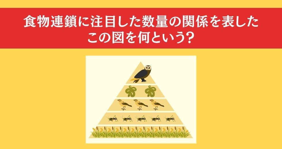 大人ならわかる？ 小学校の「理科」問題＜Vol.44＞