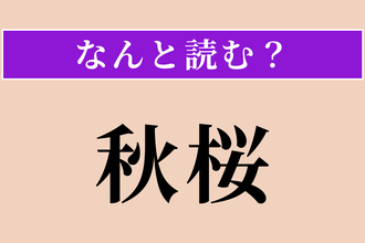 【難読漢字】「秋桜」正しい読み方は？ サービス問題！ 秋に咲く桜のような花です