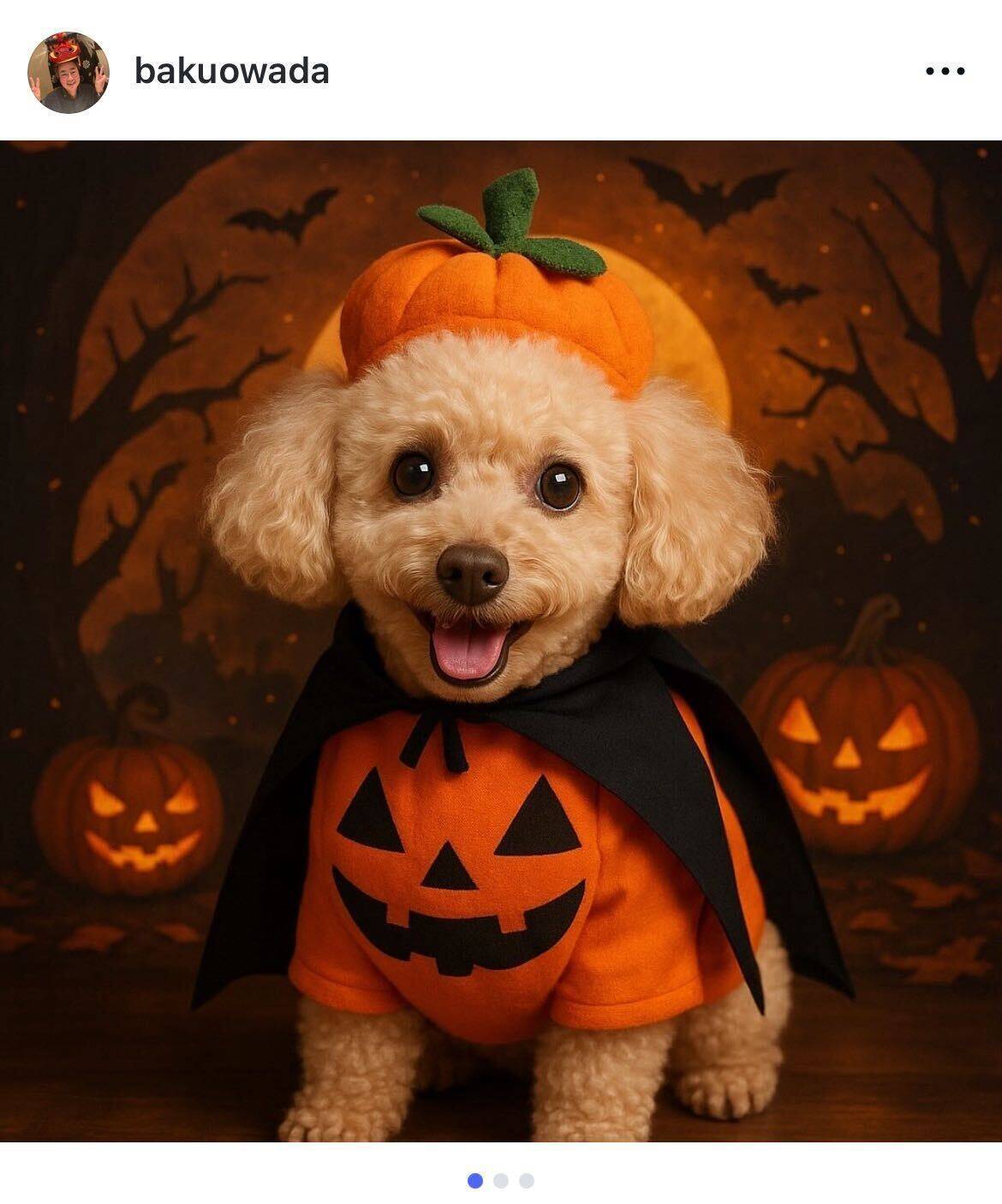 大和田獏、愛犬こころの命日にハロウィン衣装姿を披露「思い出が蘇る」