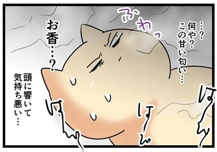 【漫画】祭壇の前に寝かされ祈られる！変な匂いが気持ち悪い【カルト宗教に軟禁された話 Vol.23】