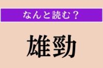 【難読漢字】「雄勁」正しい読み方は？「雄勁な筆致」などと使われます