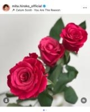 三田寛子、還暦迎え深い感謝を表明　出演した青春ドラマでの等身大演技を懐古