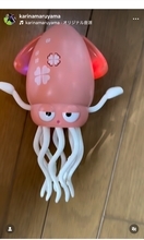 丸山桂里奈、夫・本並健治のヘルニア手術成功を報告「守護神が無事に」