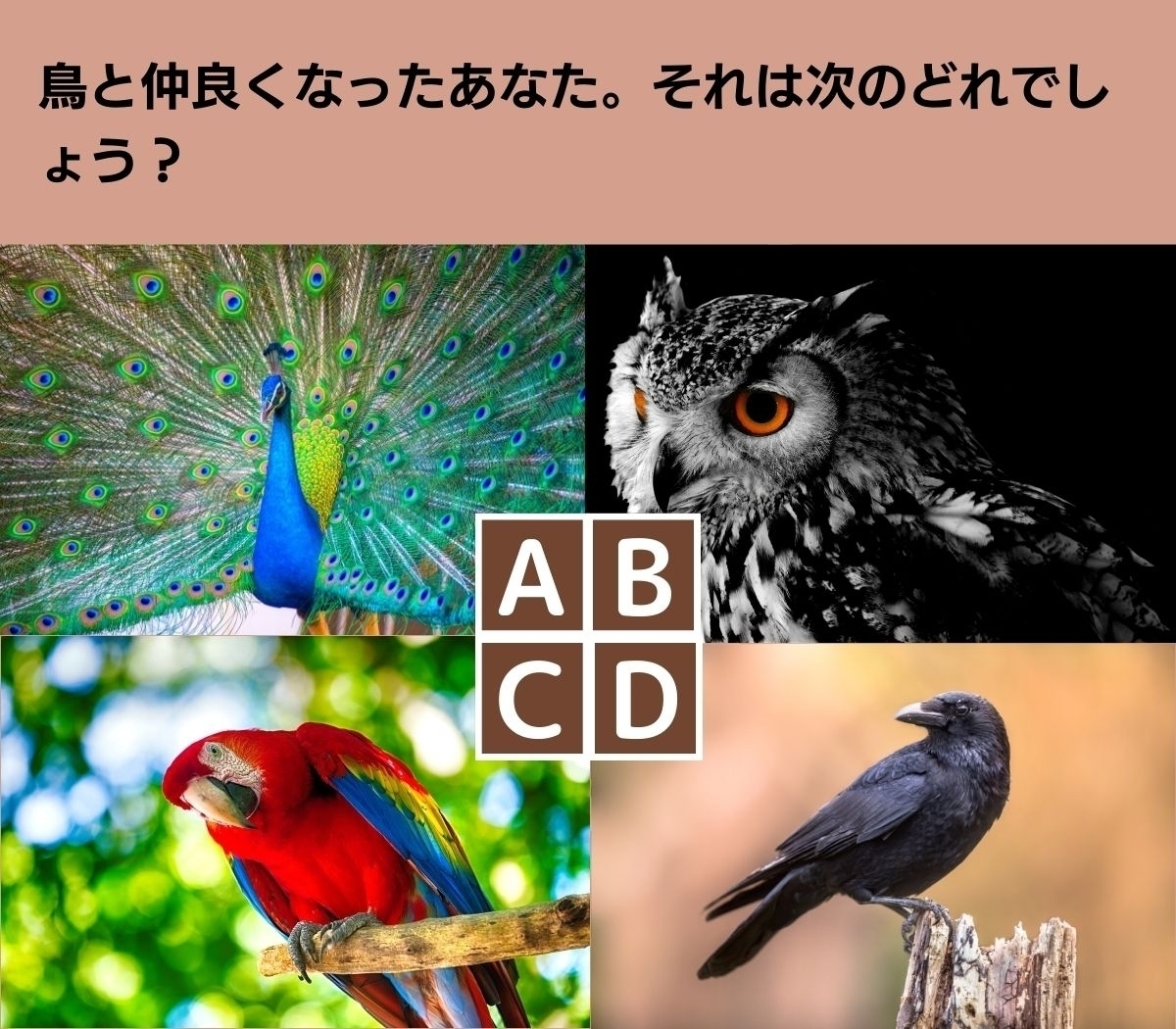 【心理テスト】止まらな〜い。あなたがついついしゃべっちゃうこと
