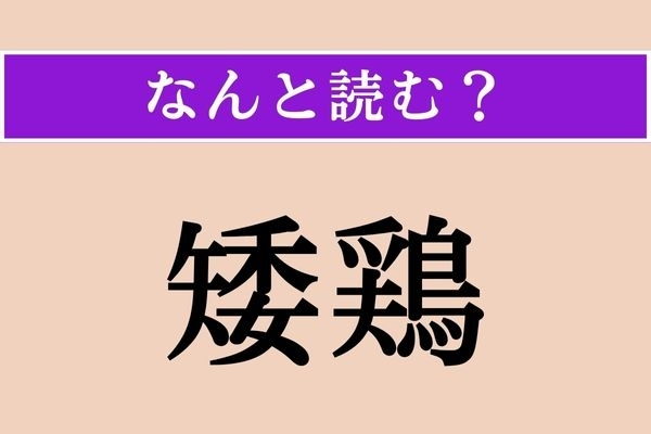 【難読漢字】「矮鶏」正しい読み方は？ どの鳥だろう…