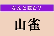 【難読漢字】「山雀」正しい読み方は？ ほっぺがクリーム色の鳥です