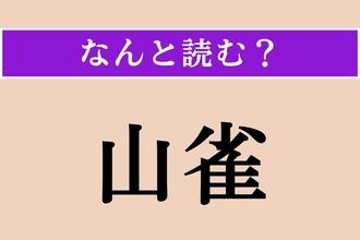 【難読漢字】「山雀」正しい読み方は？ ほっぺがクリーム色の鳥です