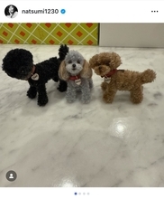小川菜摘、ファンからの心温まるプレゼントに感動　モール人形で再現した歴代愛犬に「そっくり」