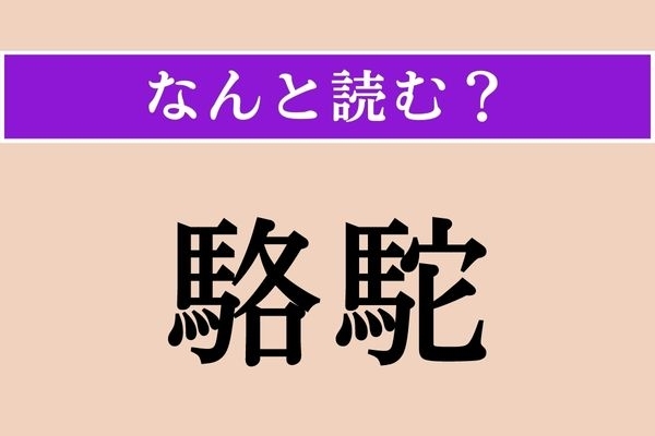 【難読漢字】「駱駝」正しい読み方は？ 動物です