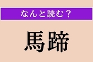 【難読漢字】「馬蹄」正しい読み方は？ 文字通り、馬の蹄（ひづめ）のことです