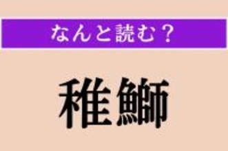 【難読漢字】「稚鰤」正しい読み方は？ ブリの若魚を言います