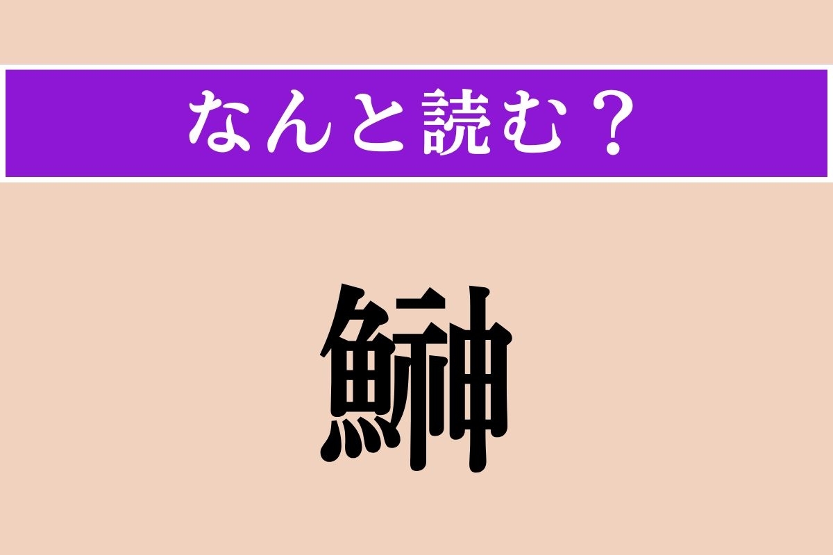【難読漢字】「鰰」正しい読み方は？ 秋田県でよく獲れます